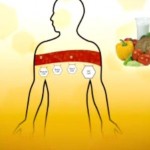 How bios life slim works - simple science